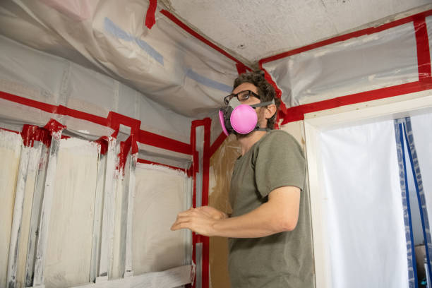 Mold Removal for HVAC Installations in Oakwood, PA