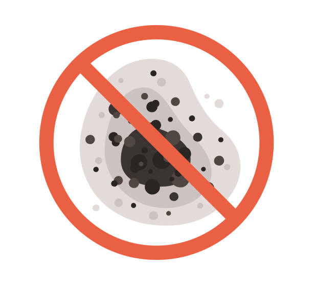 Best HVAC Mold Inspection and Cleaning  in Oakwood, PA