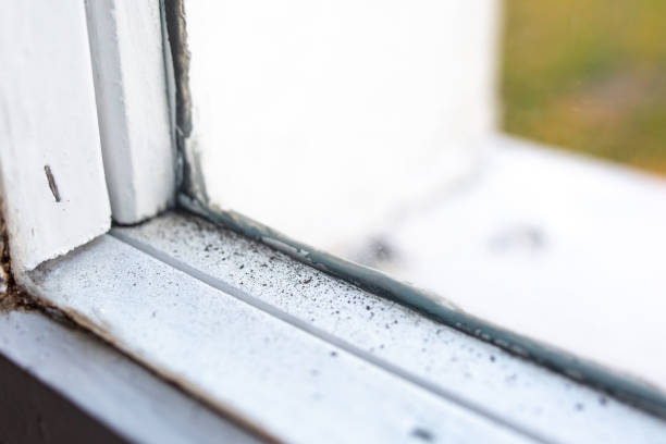 Best Commercial Mold Inspection  in Oakwood, PA